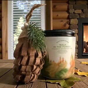 White Barn Walk in the Forest Single Wick Candle with Brown Pinecone Decor